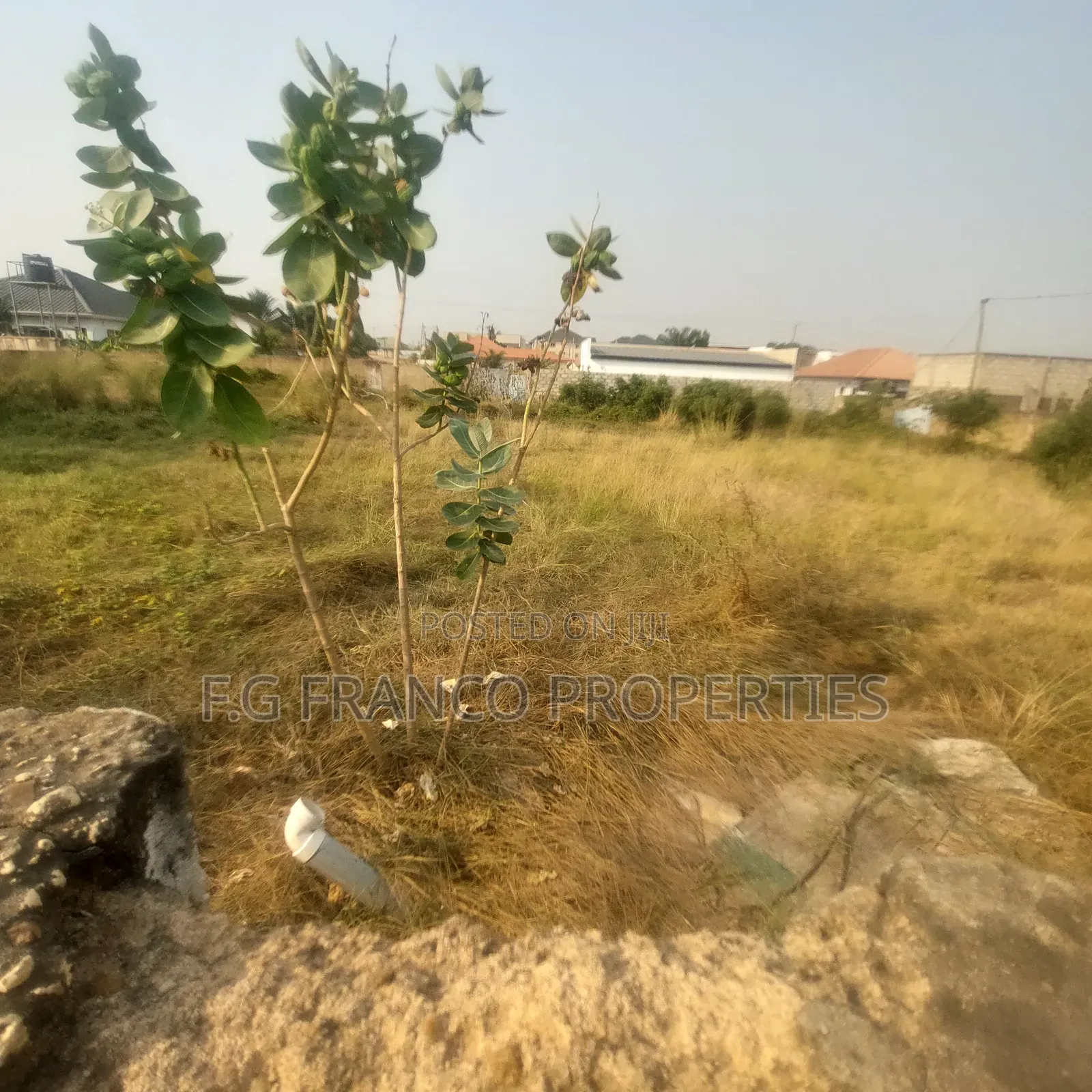 2 Plots of Land for Sale at East Airport