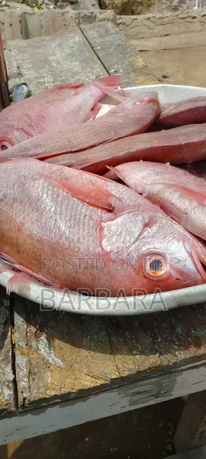 Fresh Seafood and Vegetables