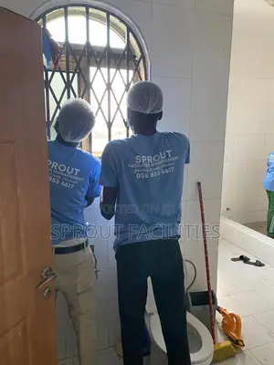 Professional Residential Cleaning