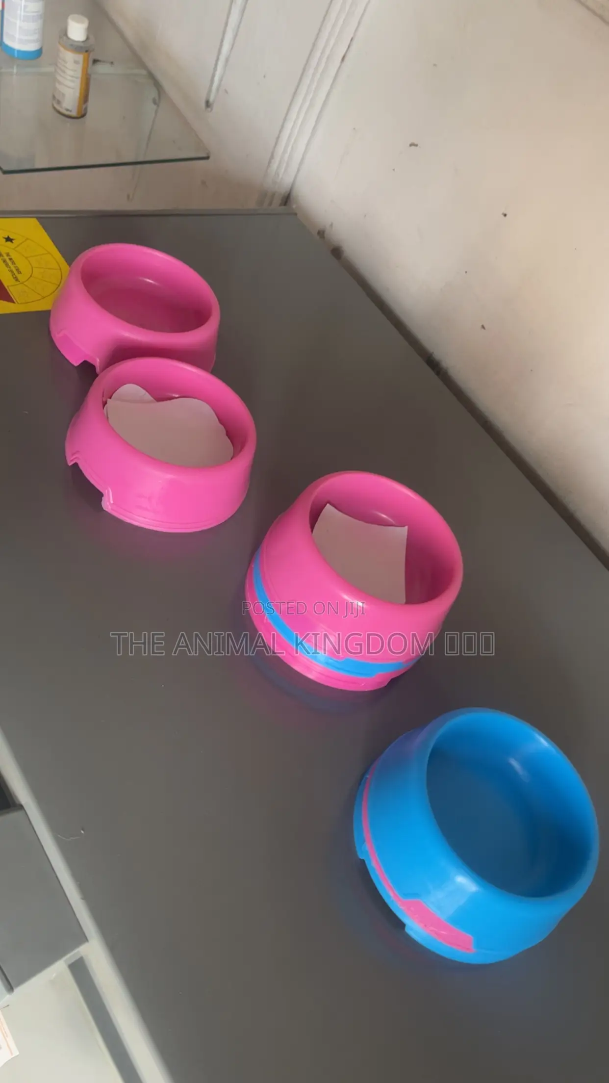 Cute Pet Bowls For Cats Smaller Dogs