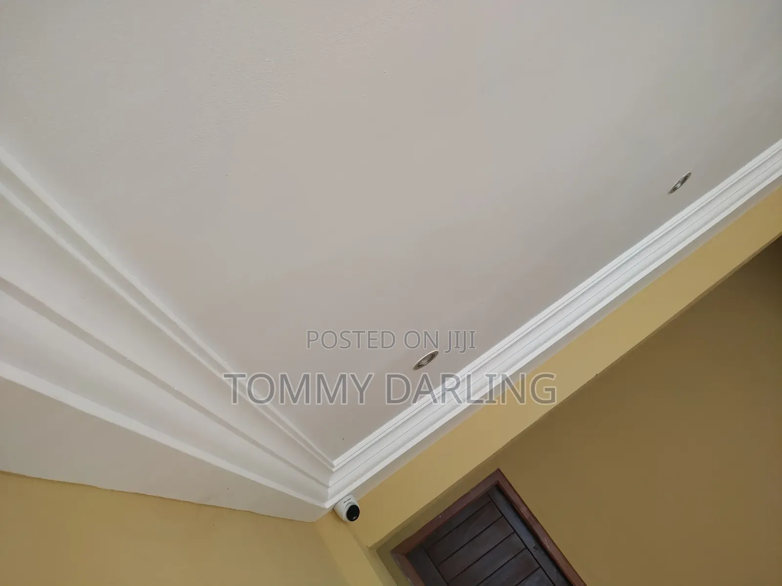 Professional Painter for Interior and Exterior Painting