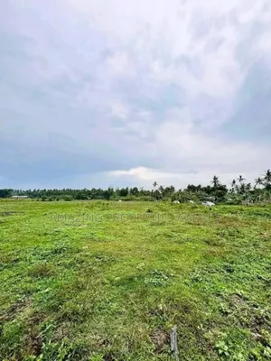 1000 Acres Of Land For Sale At Juapong Akosombo