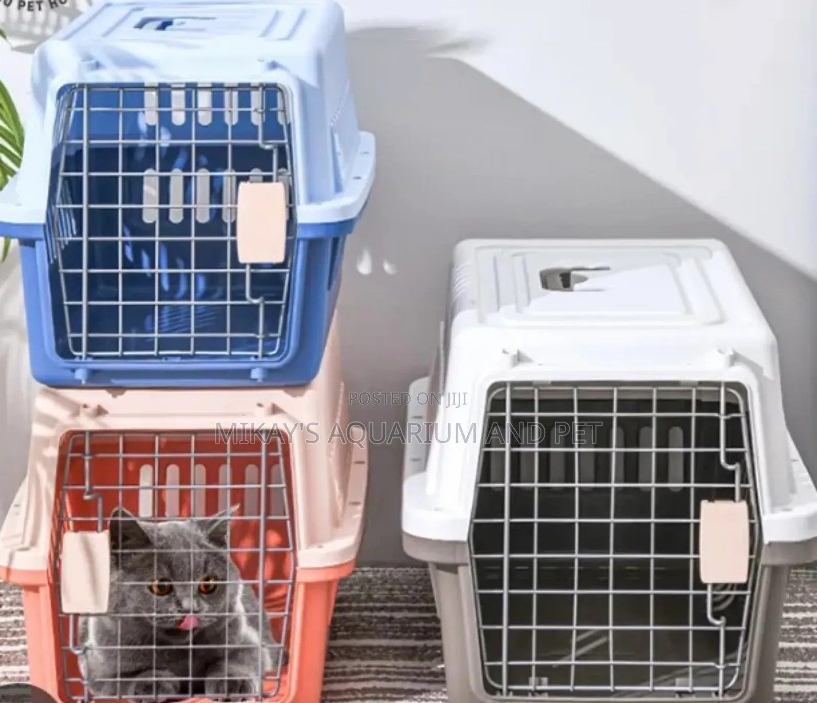 Beautiful Dog and Cat Plastic Crate