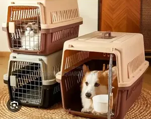Beautiful Dog and Cat Plastic Crate