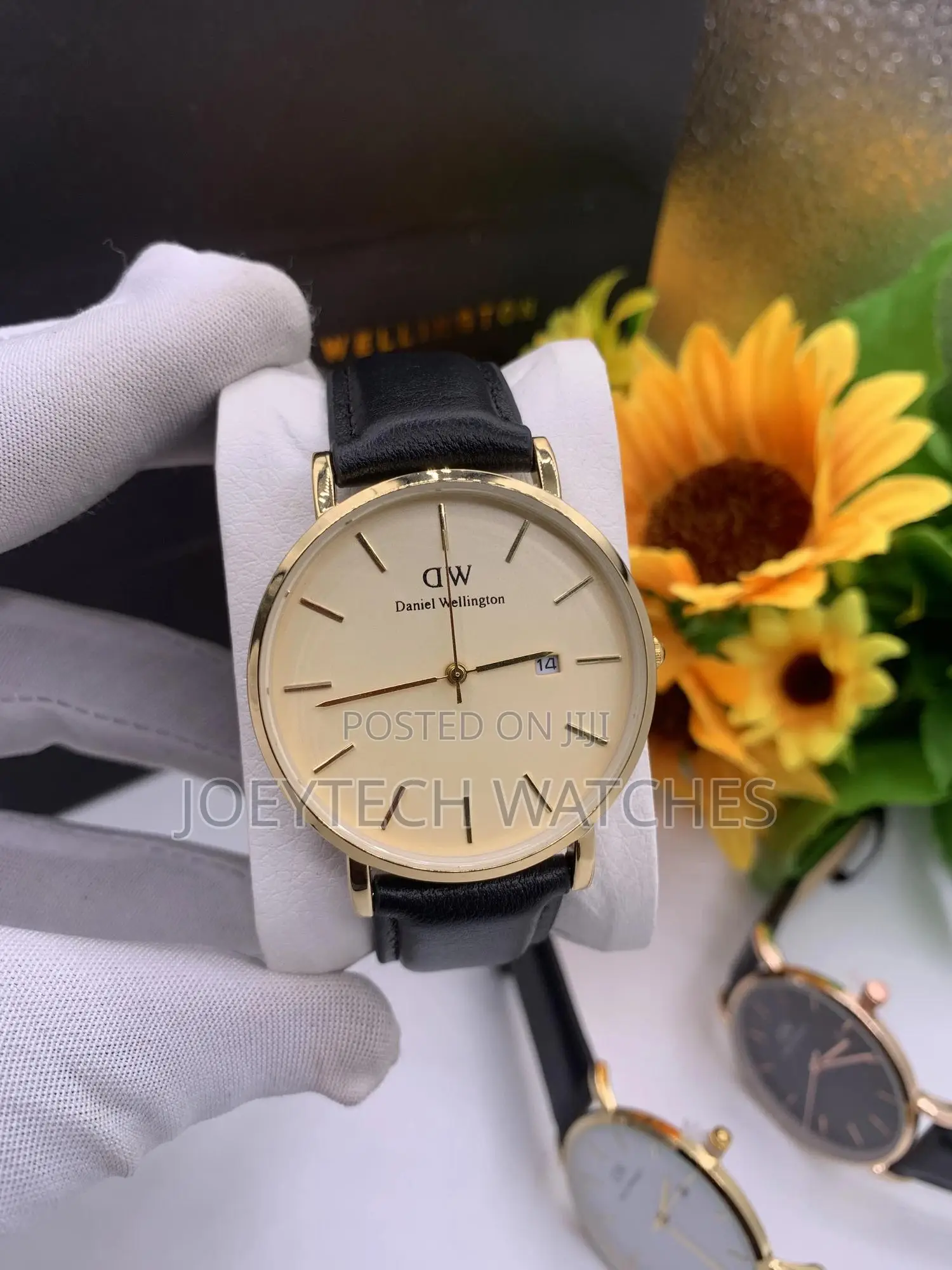 Daniel Wellington Leather Watches