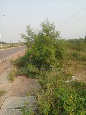 40acres of Land at Trassaco Valley (Borteyman