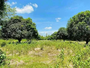 .1.05 Acres of Prime Roadside Land in the Airport Residential Area
