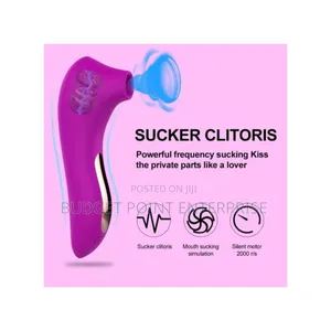Female Clit Vagina Sucking Vibrator Sex Toys for Women(Disguised Rose)