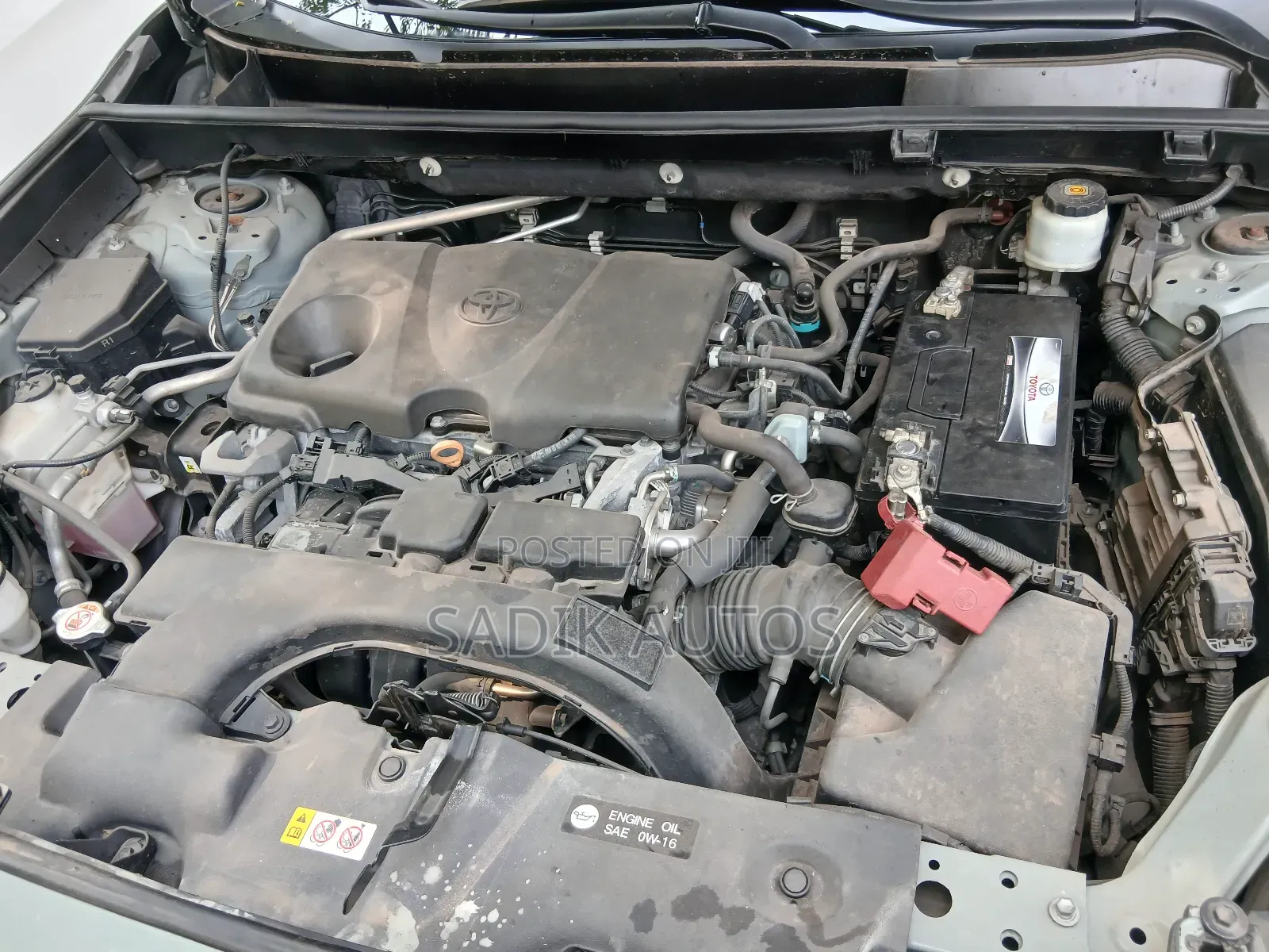 Toyota RAV4 XLE AWD 2019 Green