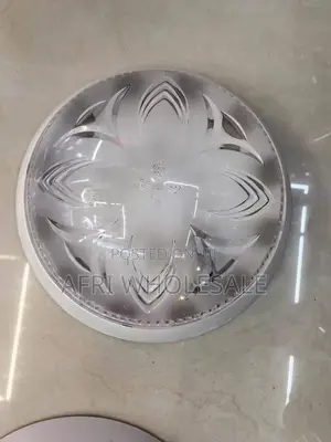 Very Simple Luxury Ceiling Bulb Light