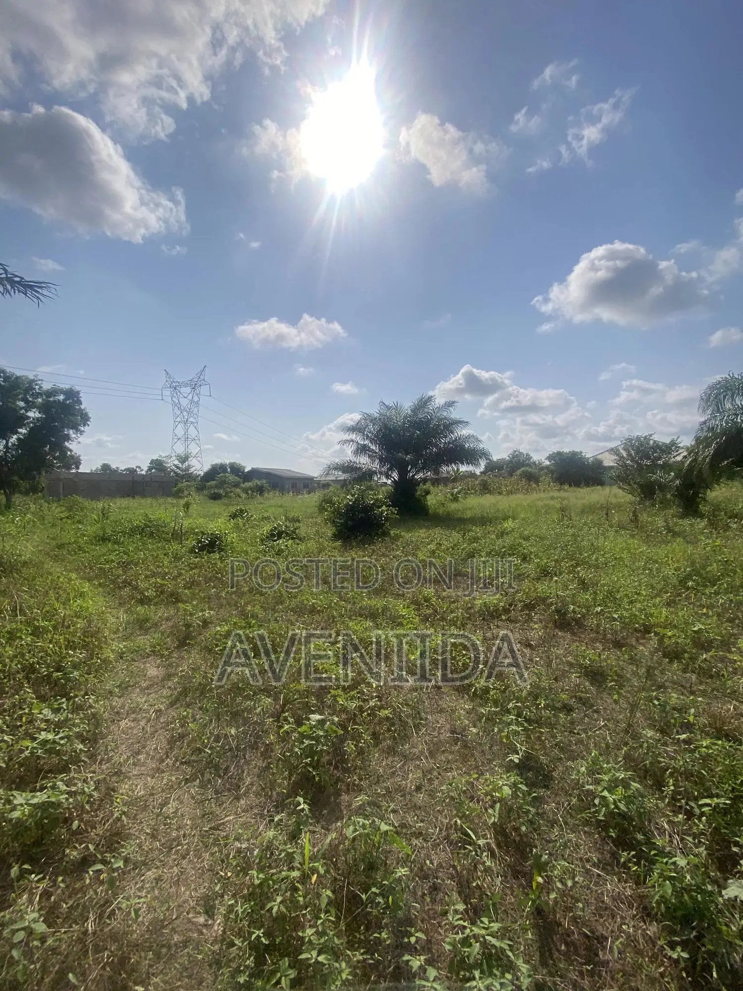 Affordable Beach Land