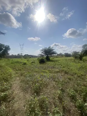 Affordable Beach Land