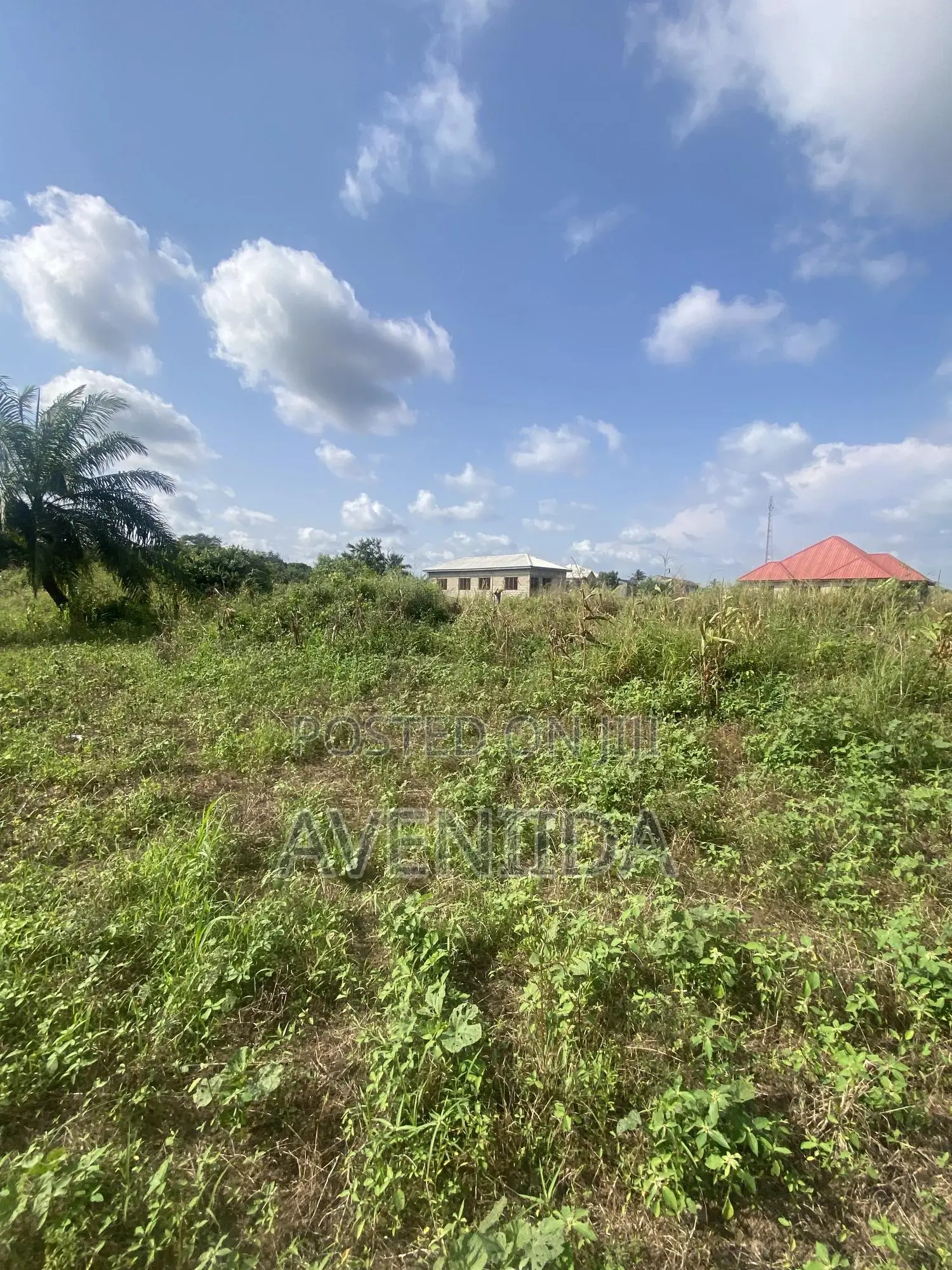 Affordable Beach Land