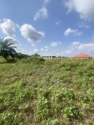 Affordable Beach Land