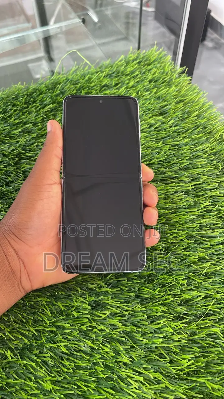 Samsung Galaxy Z Flip4 256 GB Blue