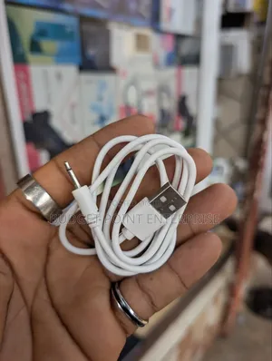 Universal Vibrator Charger (Pin)