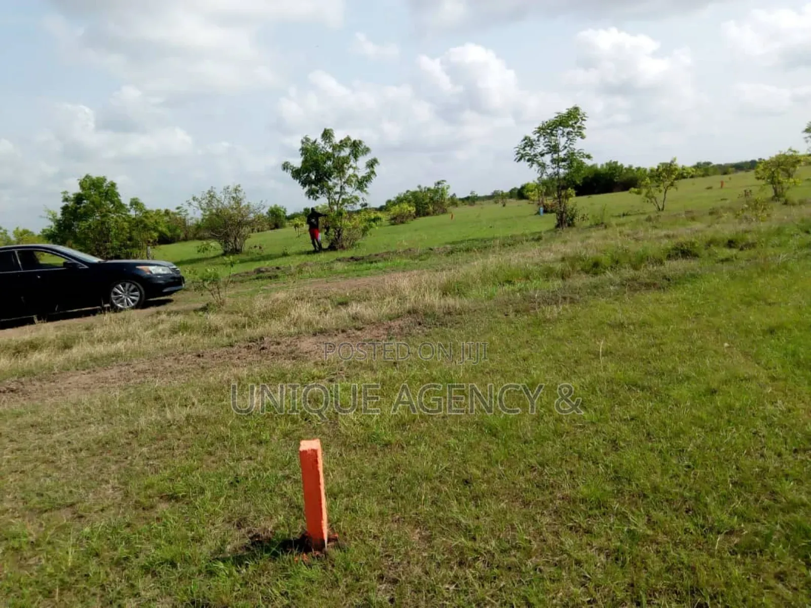 Land for Sale Transaco Springs