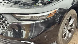 Foglight 2024 Honda Accord