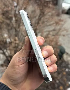 Apple iPhone 16 Pro Max 256 GB White