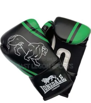 Boxing Punch Gloves Everlast Lonsdale