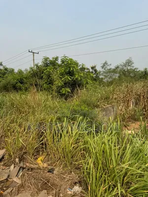 Roadside Land for Sale - 6 Plots