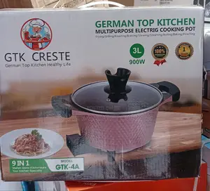 3l Electric Cooking Pot