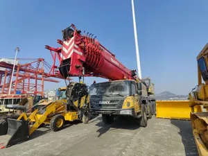 Heavy-duty Cranes For Rent (80–300 Tons)