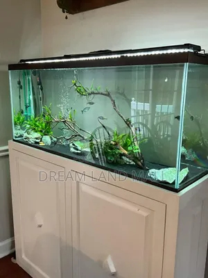 Classic Customized Aquarium With Light