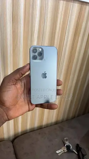 Apple iPhone 12 Pro 128 GB Gray