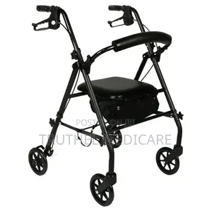 Adult Push Walker (Rollator)