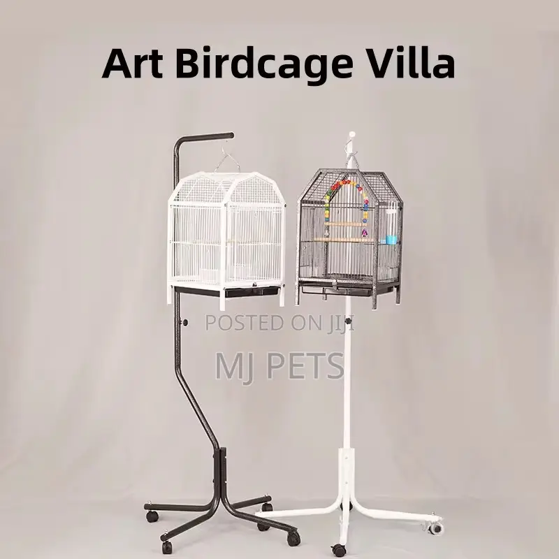 Bird Cage (B29)