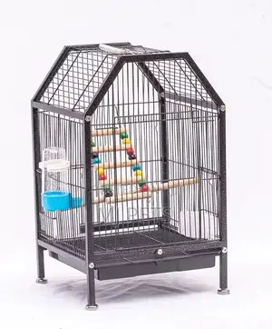 Bird Cage (B29)