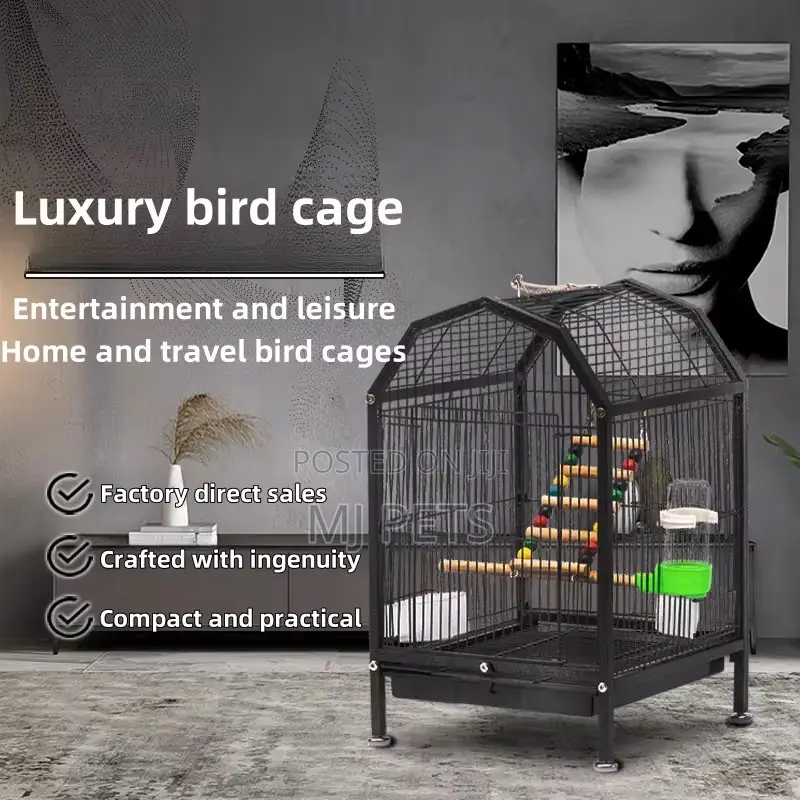 Bird Cage (B29)