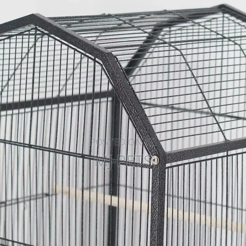 Parrot Cage B08