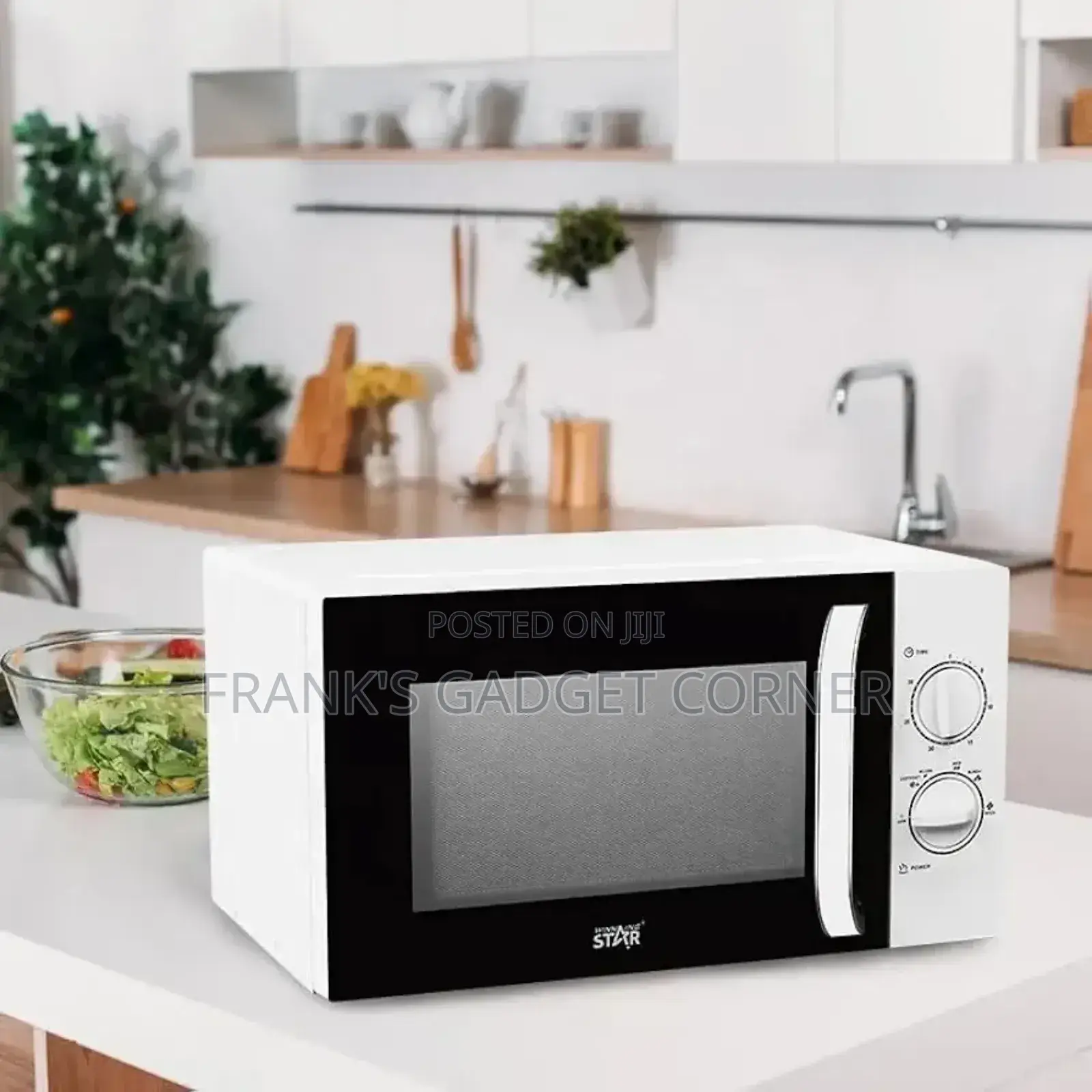 20l Winning Star Microwave Oven