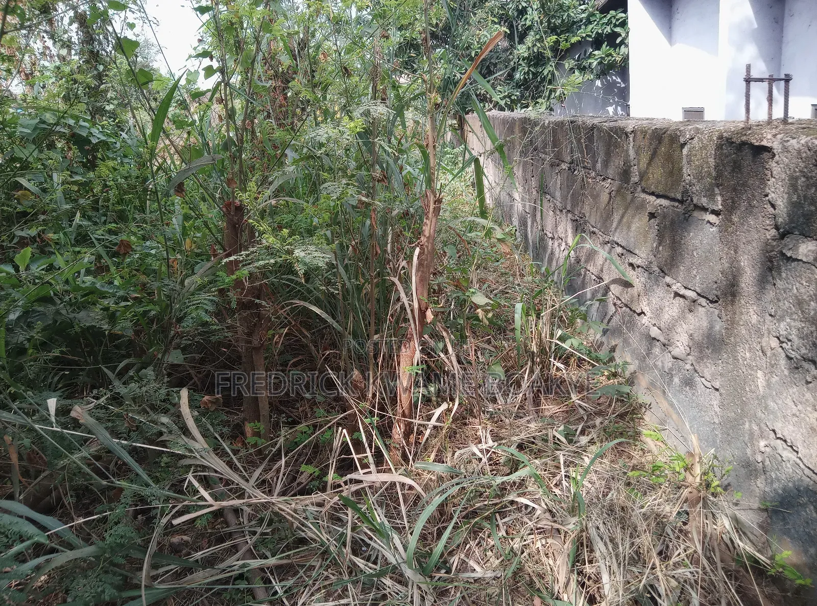 Plot of Land for Sale at Ipt Apatrapa
