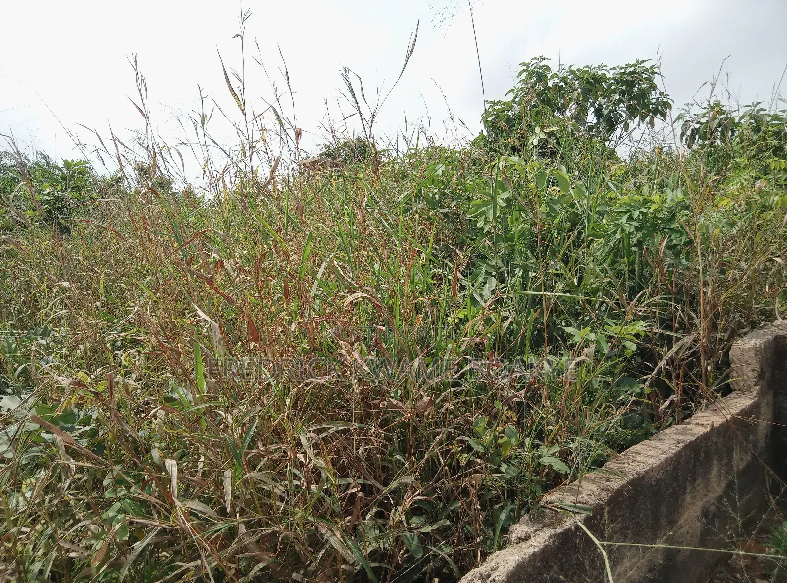 Plot of Land for Sale at Abuakwa Koforidua