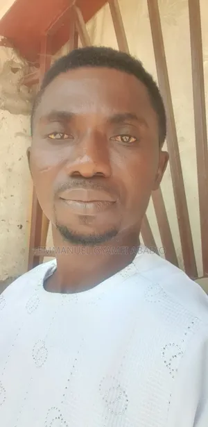 Mr Emmanuel Gyamfi Ababio