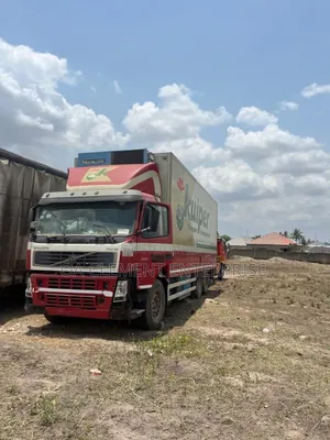 Strong Volvo and Daf Going for Cool Price Just a Little Maintenance