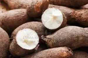 Fresh Cassava 1kg - Perfect for Fufu, Gapos or Snacks!