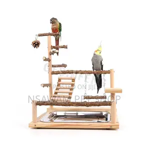 Parrot Play Toy