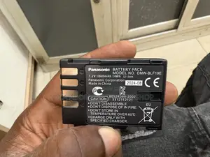 Panasonic DMW-BLF 19e