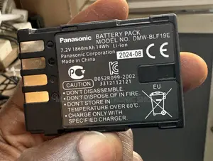 Panasonic DMW-Blf19 Rechargeable Lithium-Ion Battery Pack