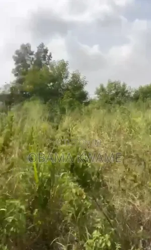 One Plot of Land for Sale at Haasto Dvla Price