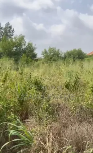 One Plot of Land for Sale at Haasto Dvla Price