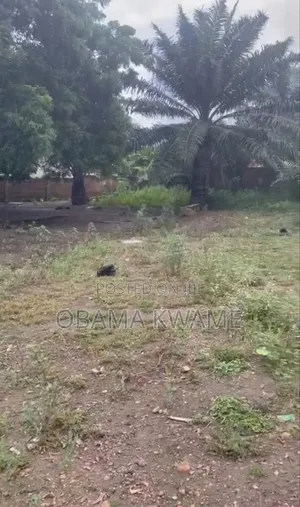 Titled 3 Plots of Land for Sale at East Legon - Ogbojo