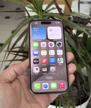 Apple iPhone 15 Pro Max 256 GB Silver