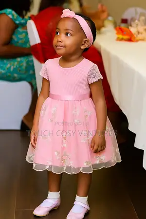 Pink Floral Embroidered Lace Baby Dress (2-3 Years)
