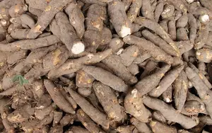 Quality and Cheap Gari and Cassava Available
