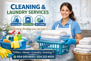 Domestic Cleaning Services